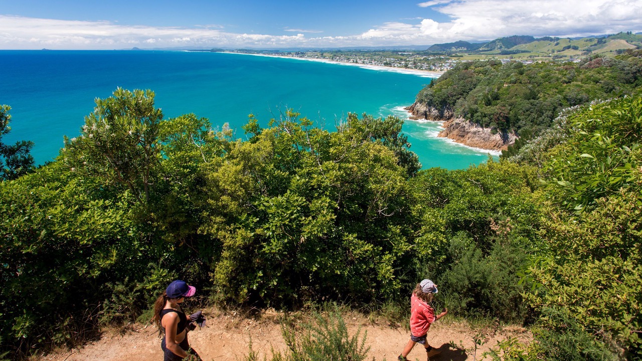 Photo of Outdoor in Waihi Beach