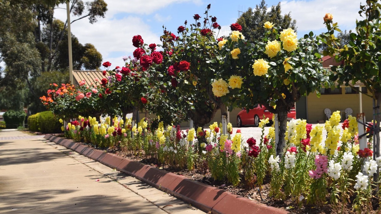 Photo of Outdoor in Echuca