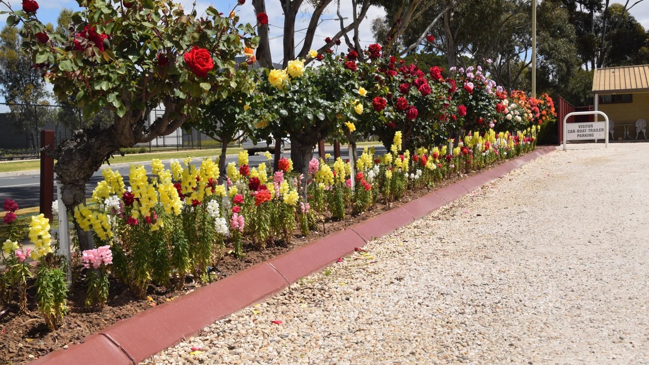 Photo of Outdoor in Echuca