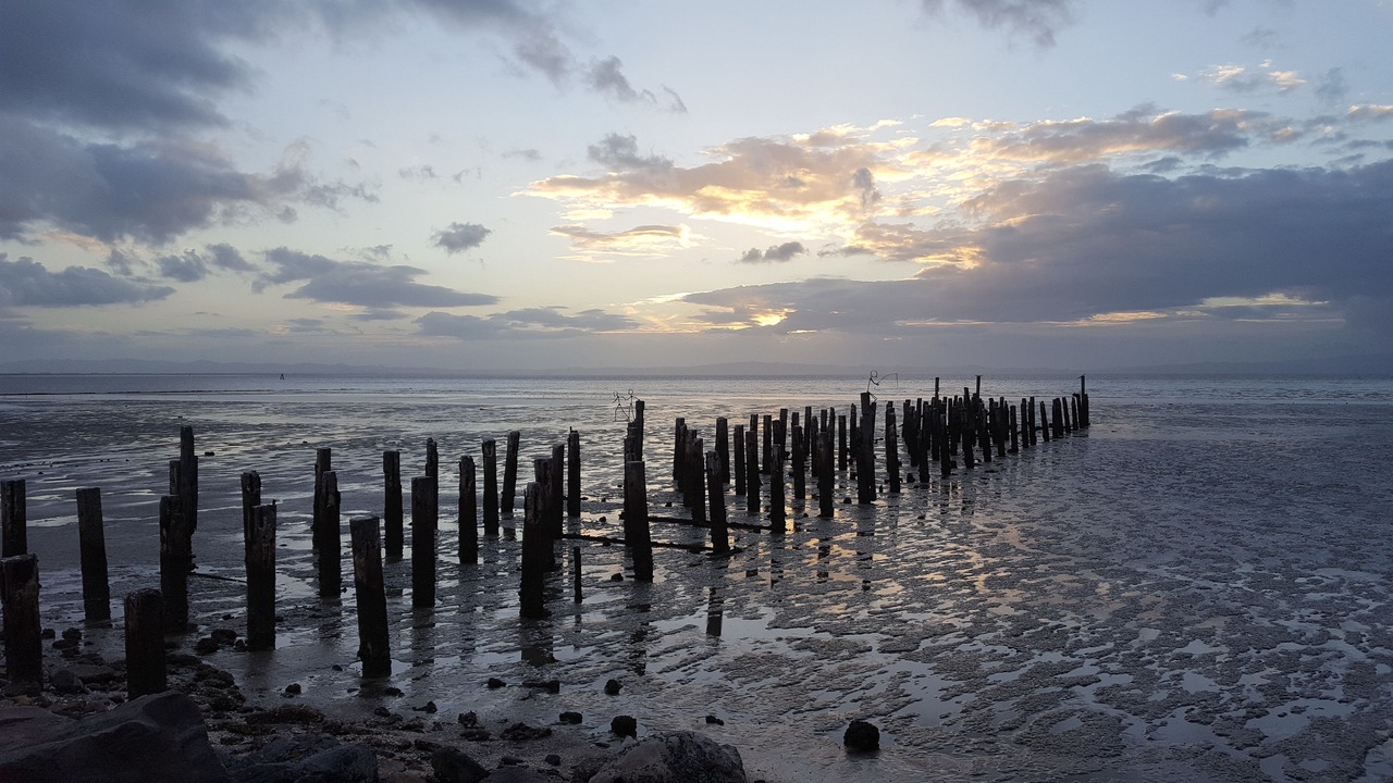 Photo of Outdoor in Thames