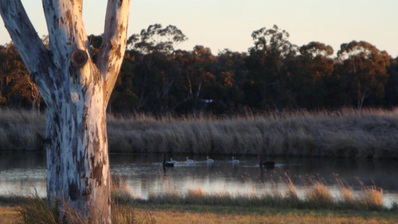 Photo of Outdoor in Lovedale