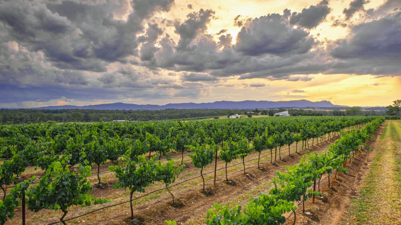 Photo of Outdoor in Lovedale