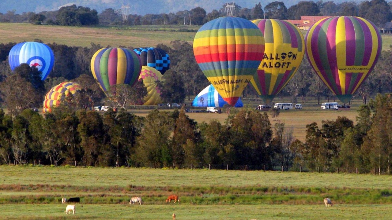 Photo of Others in Lovedale
