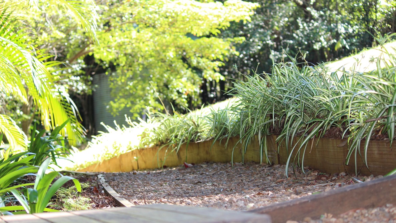 Photo of Outdoor in Flaxton