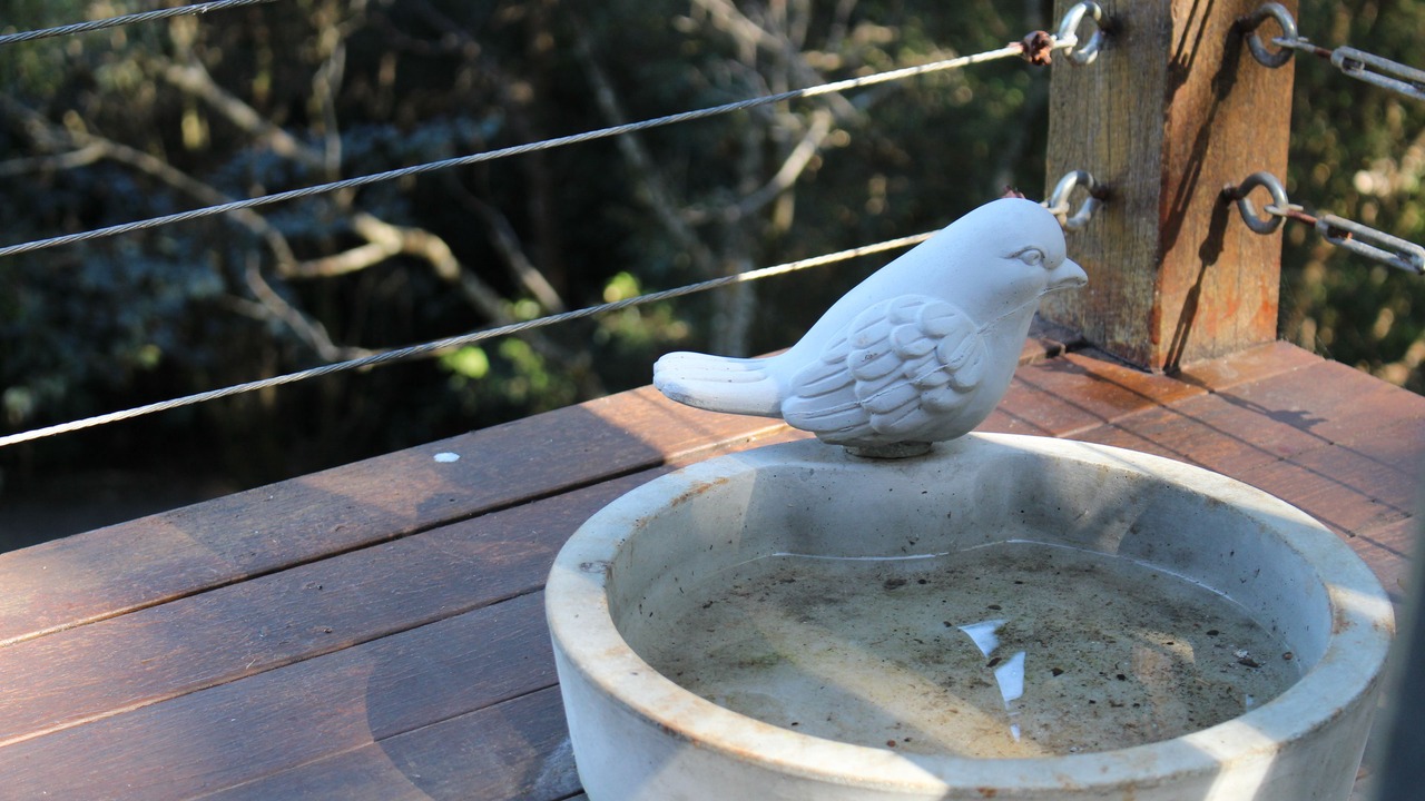 Photo of Others in Flaxton