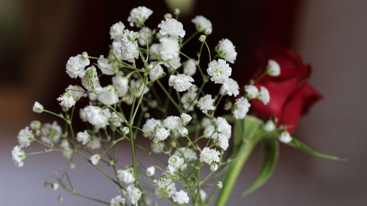 Photo of Others in Flaxton