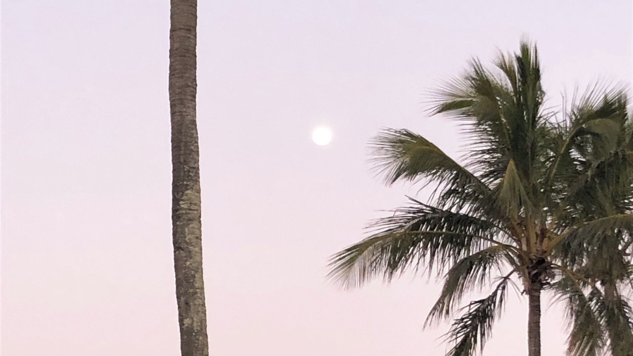 Photo of Outdoor in Moore Park Beach