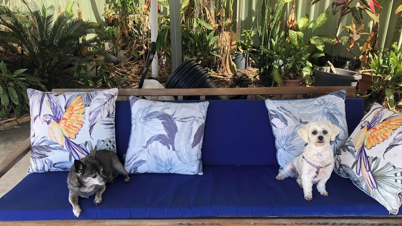 Photo of Outdoor in Moore Park Beach