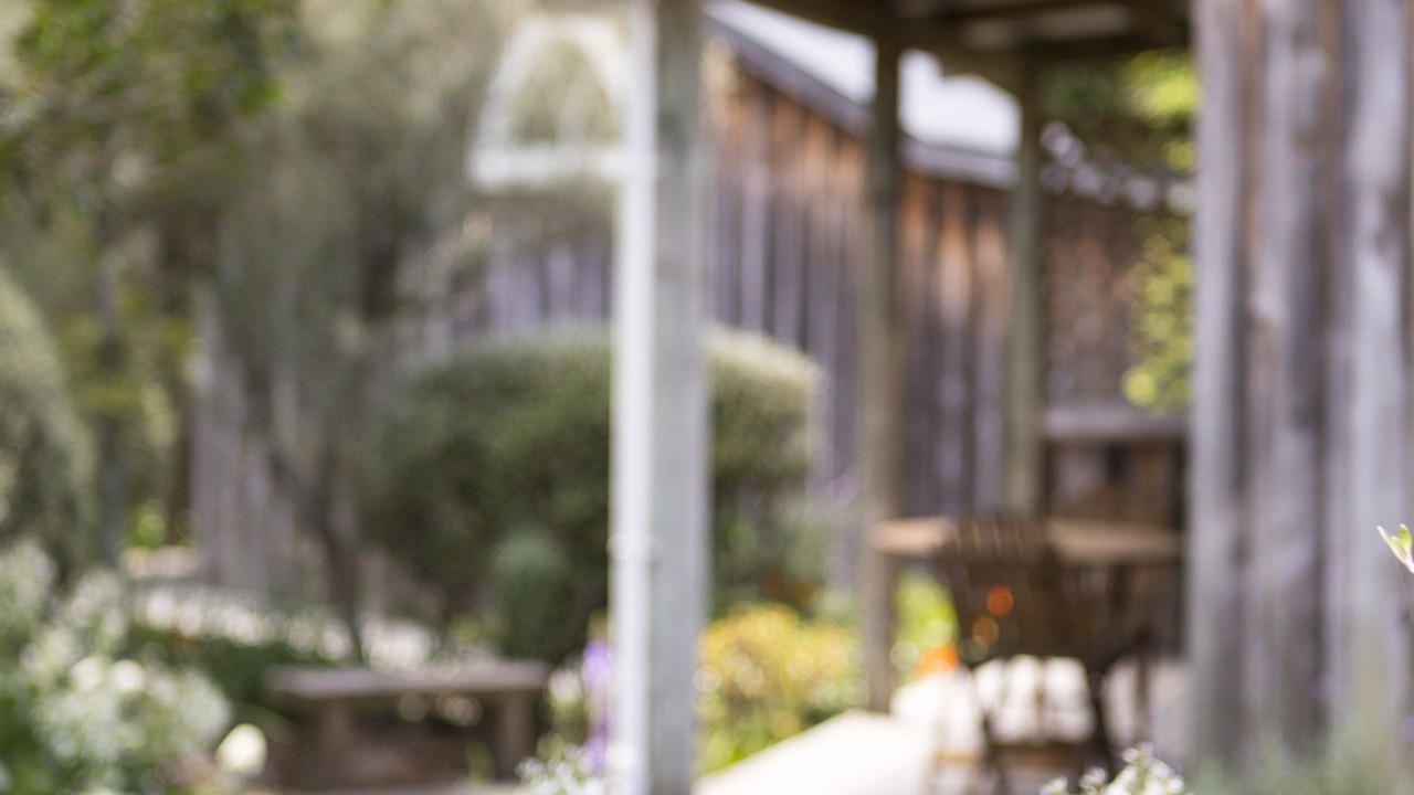 Photo of Others in Hahei