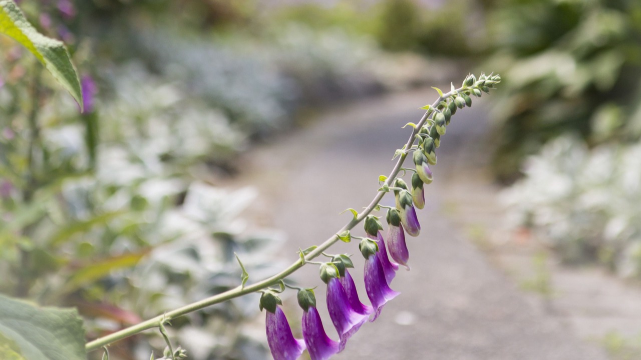 Photo of Others in Hahei