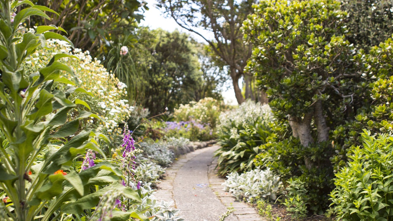 Photo of Others in Hahei