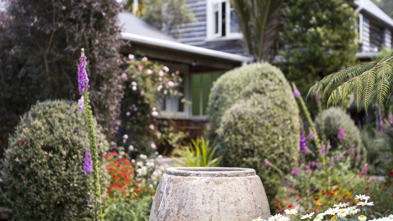 Photo of Others in Hahei