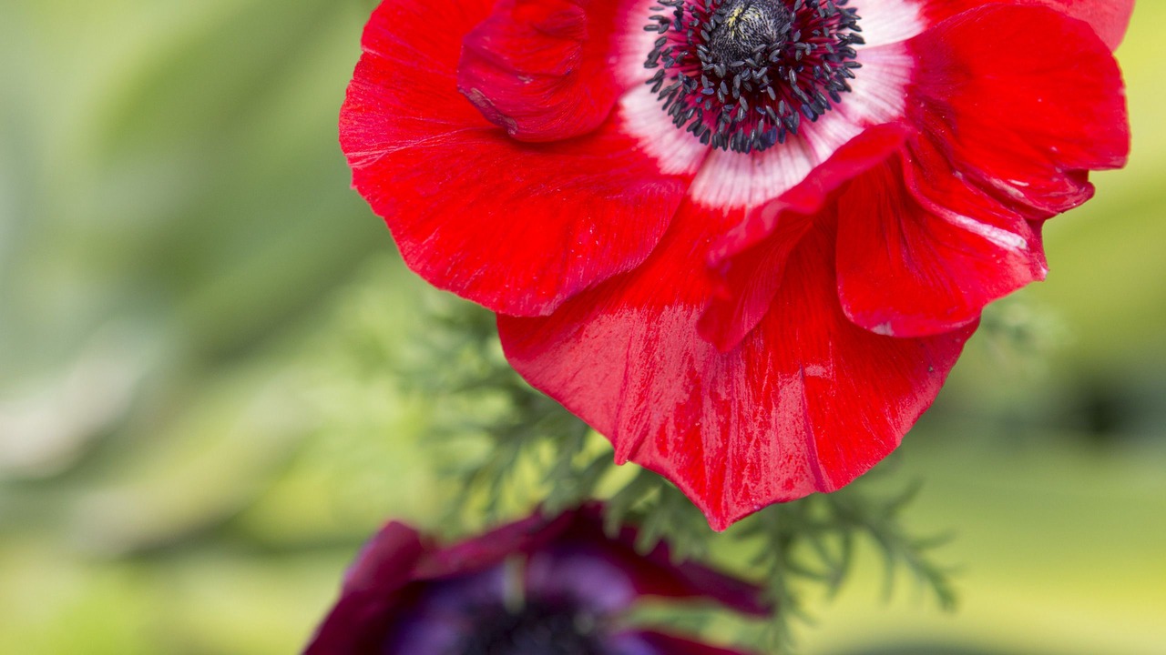 Photo of Others in Hahei