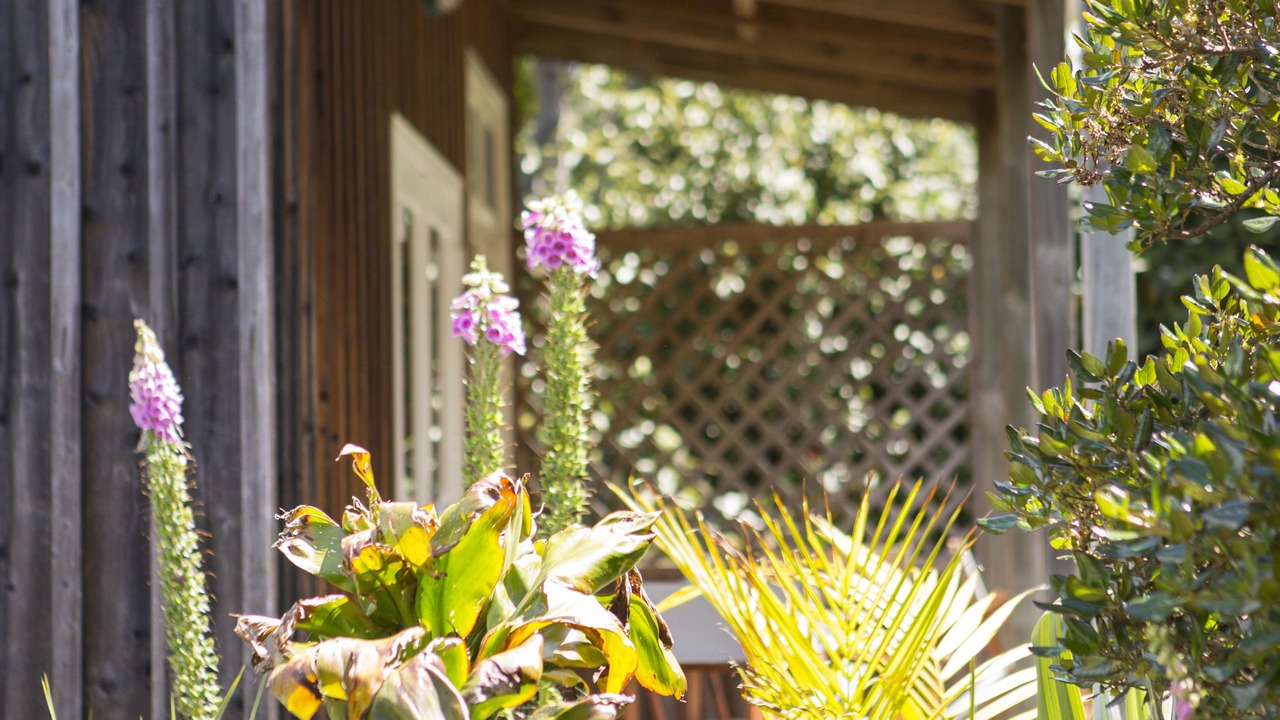 Photo of Outdoor in Hahei