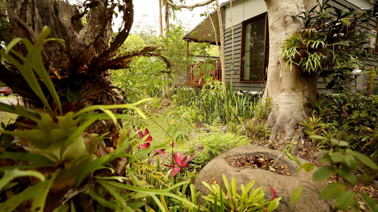 Photo of Outdoor in Mount Warning