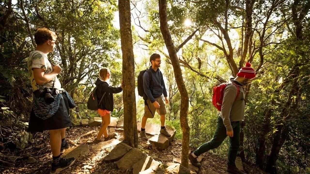 Photo of Outdoor in Mount Warning