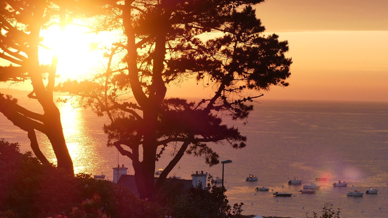 Photo of Outdoor in Trelevern