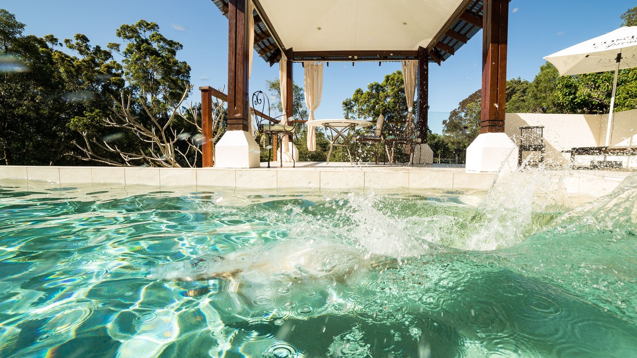 Photo of Others in Ringtail Creek