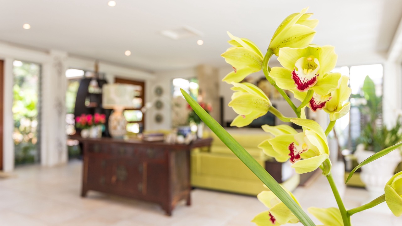 Photo of Others in Ringtail Creek