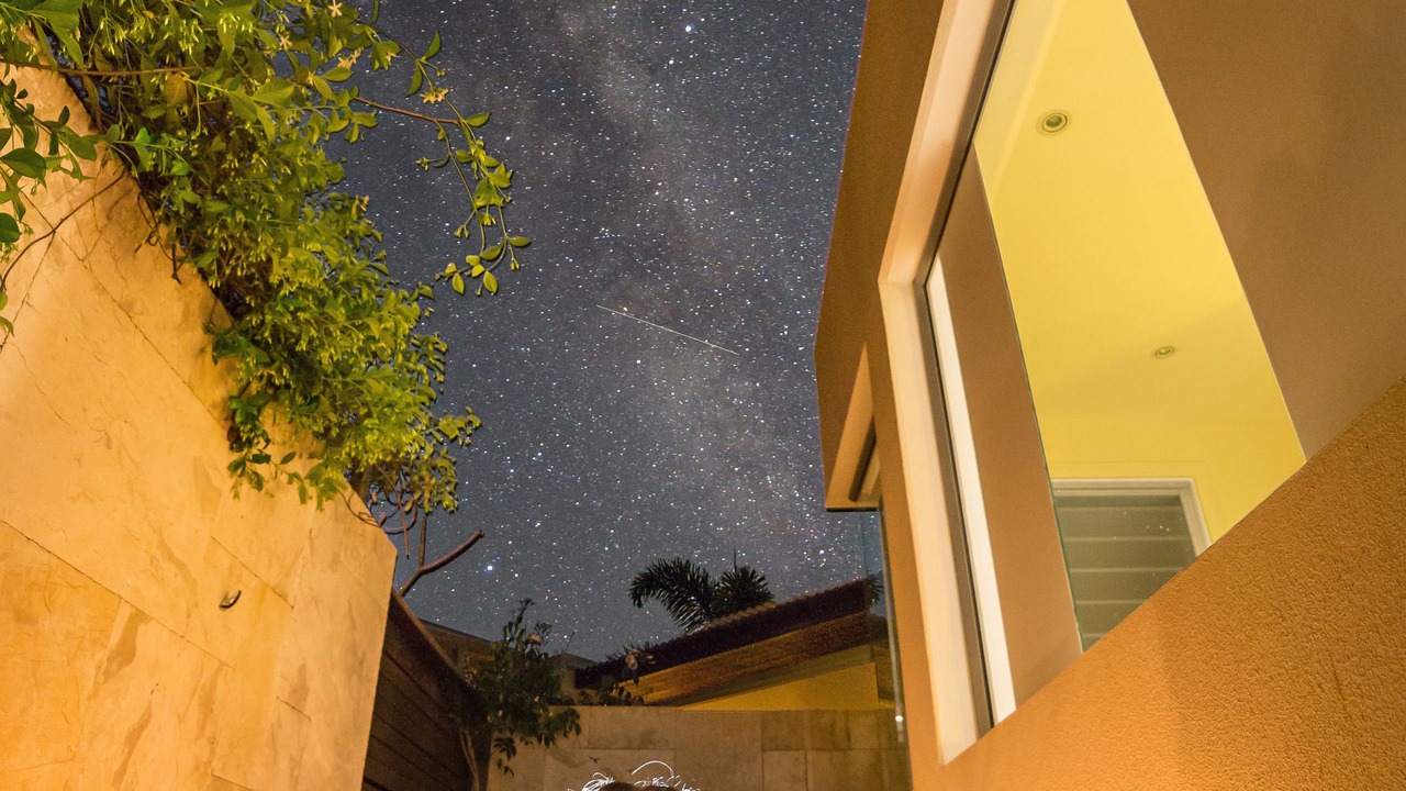 Photo of Others in Ringtail Creek