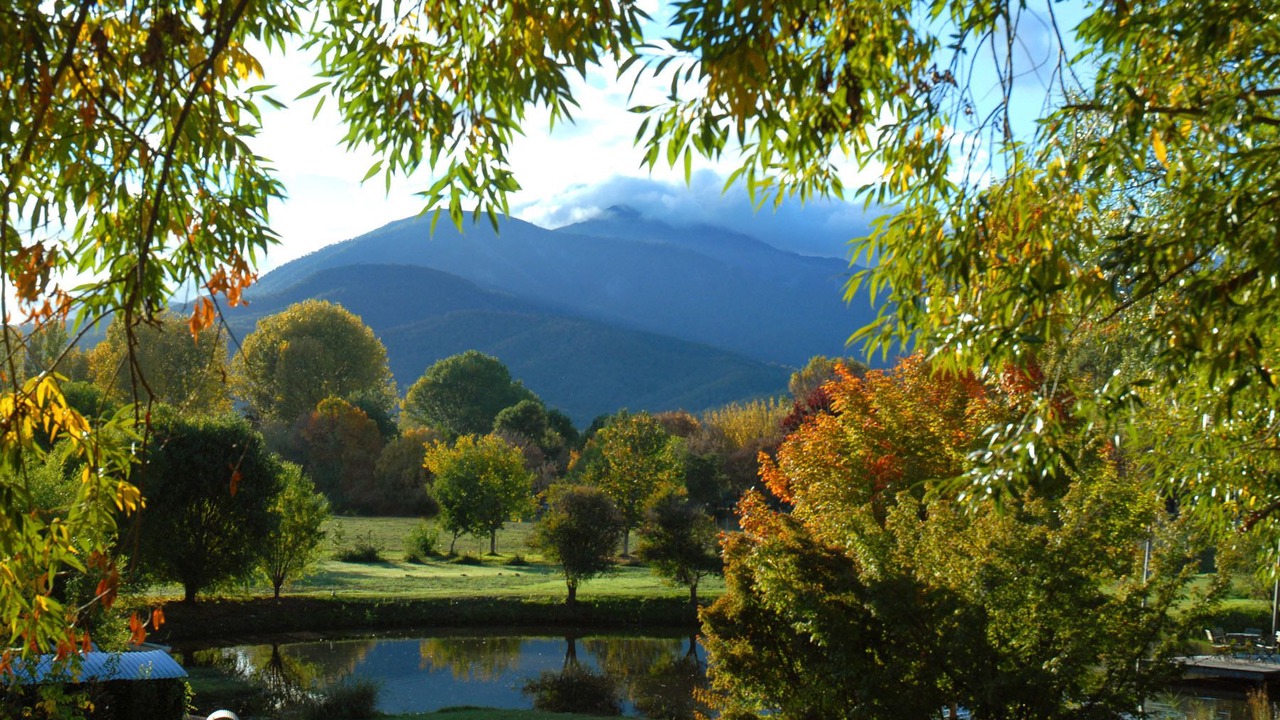 Photo of Others in Tawonga South