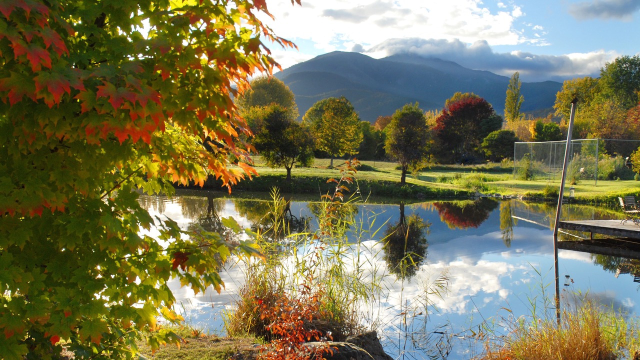 Photo of Outdoor in Tawonga South