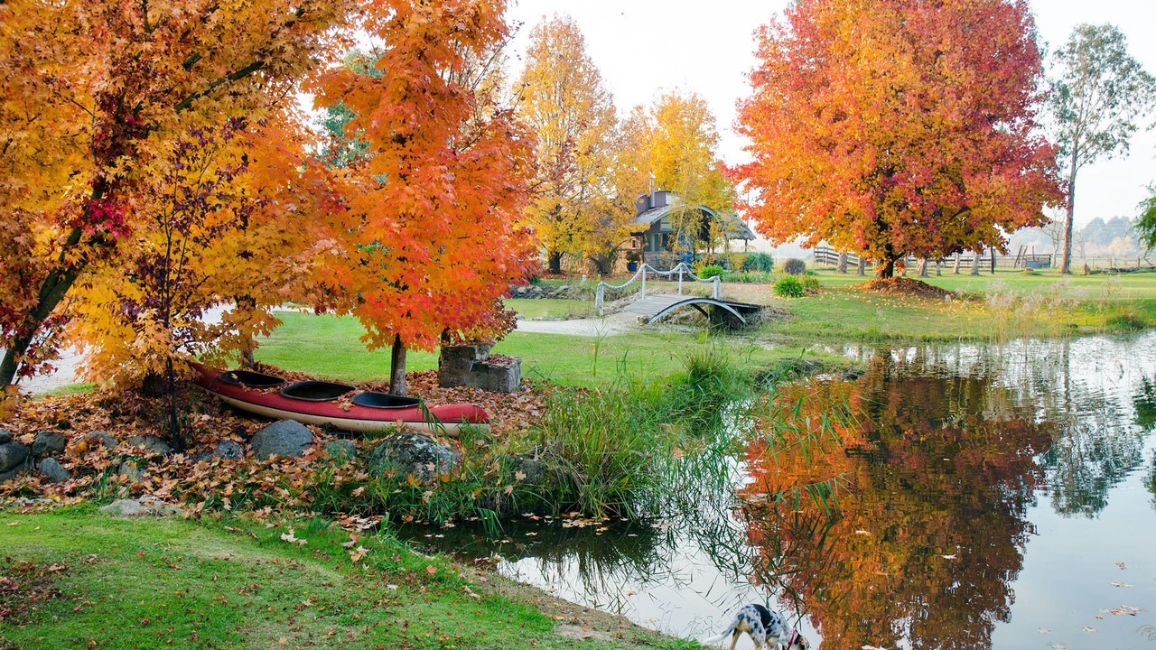 Photo of Others in Tawonga South