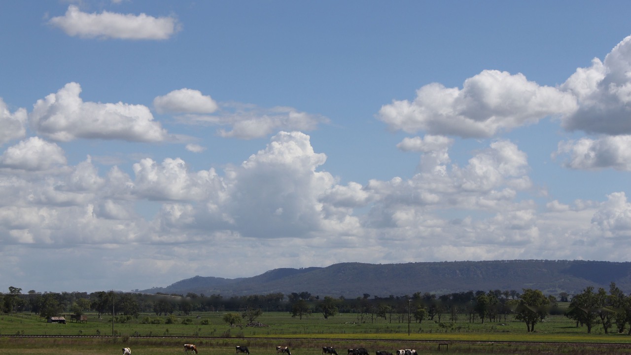 Photo of Others in Scone
