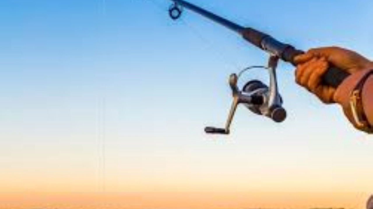 Photo of Others in Bateau Bay