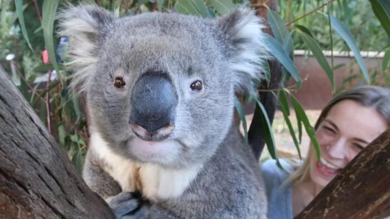 Photo of Others in Yarra Glen