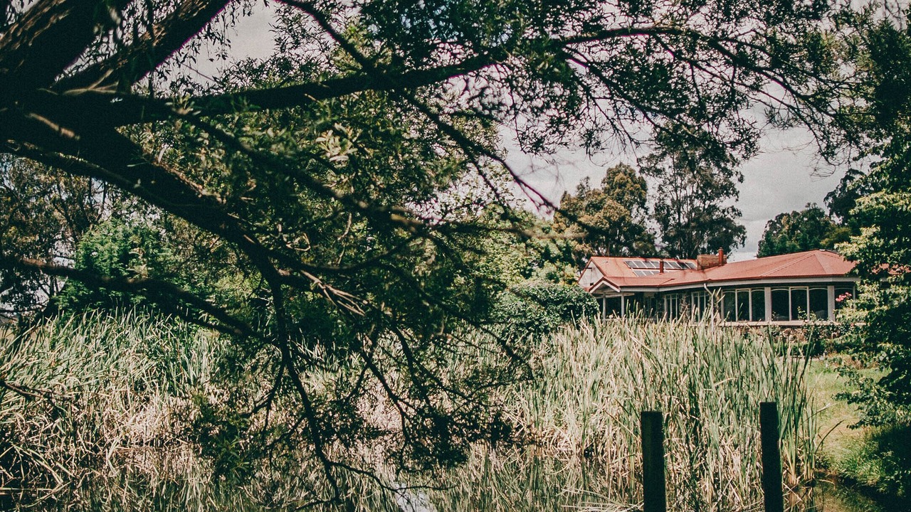 Photo of Outdoor in Yarra Glen