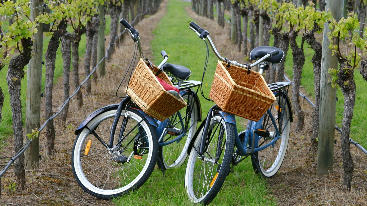 Photo of Outdoor in Yarra Glen