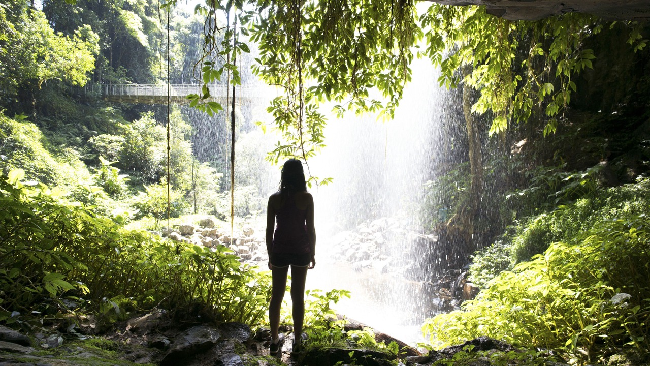 Photo of Outdoor in Bellingen