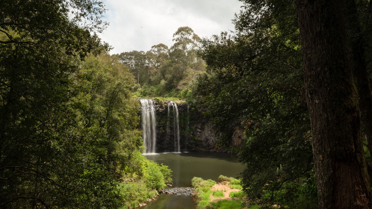 Photo of Outdoor in Bellingen