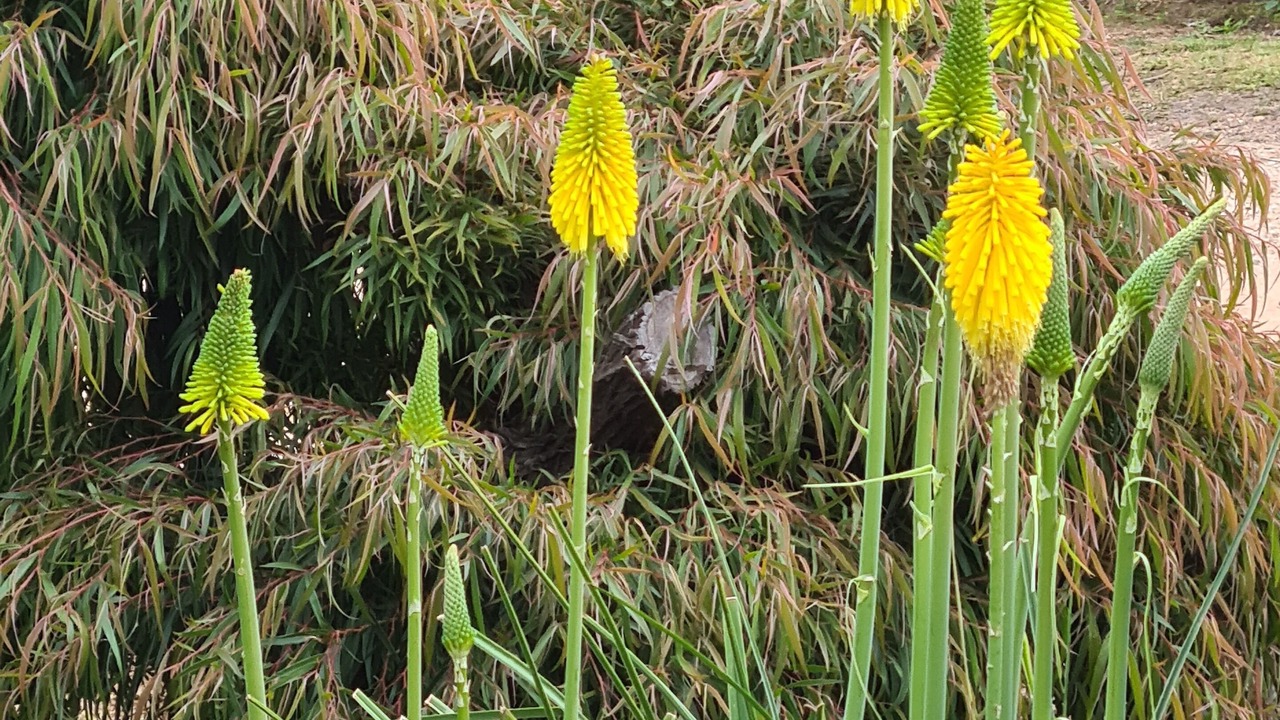 Photo of Outdoor in Mallacoota