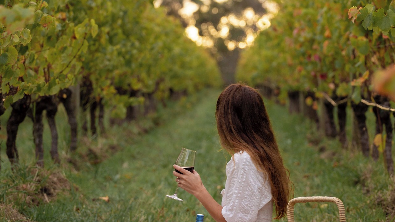 Photo of Outdoor in Dromana