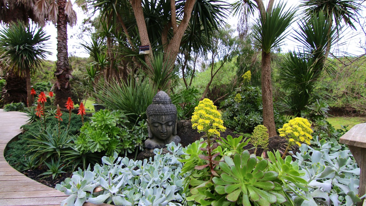 Photo of Outdoor in Smiths Beach