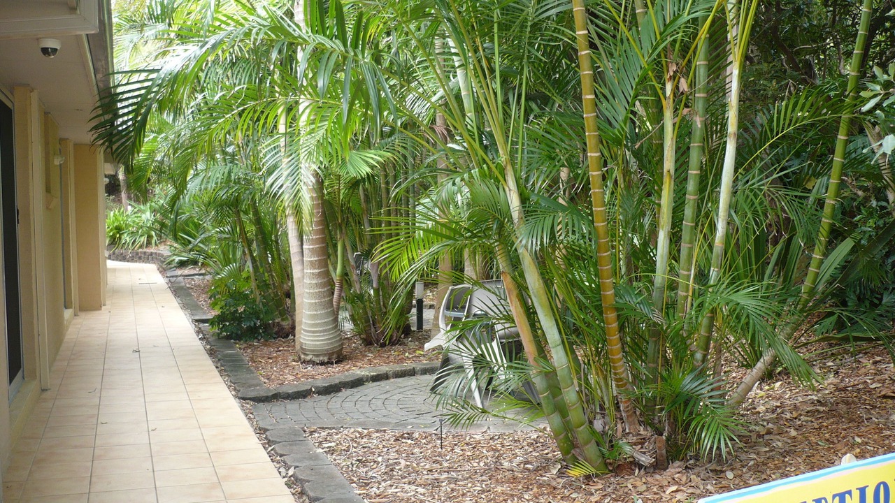 Photo of Outdoor in Terrigal