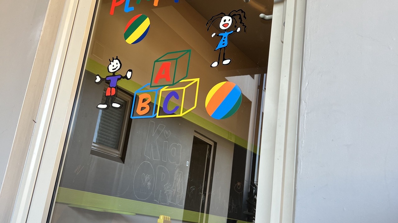 Photo of Others in Ashburton