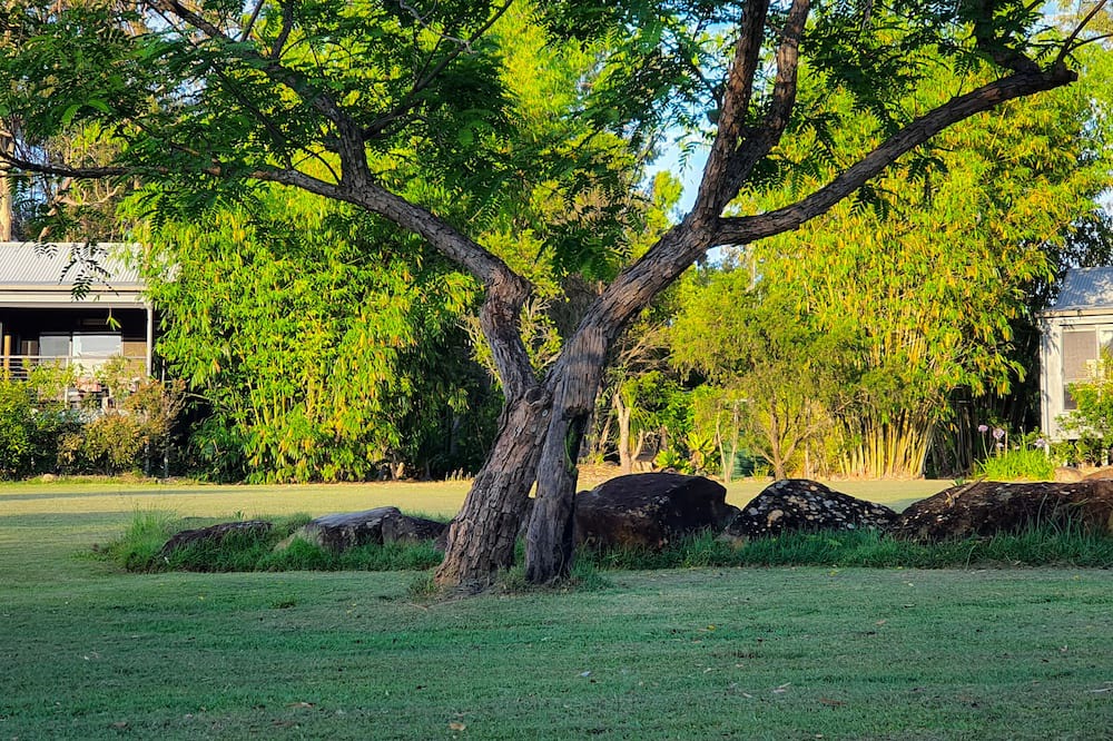 Photo of Outdoor in Rathdowney
