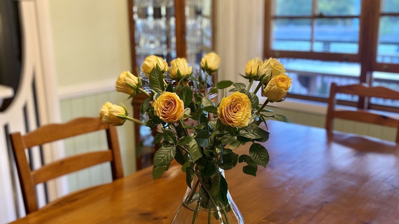 Photo of Livingroom in Stanthorpe