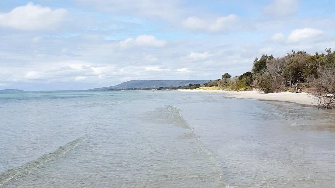 Photo of Others in Tootgarook