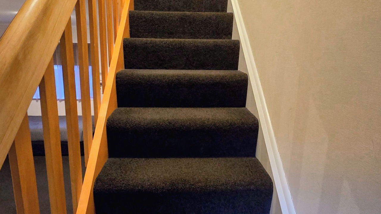 Photo of Others in Palmerston North