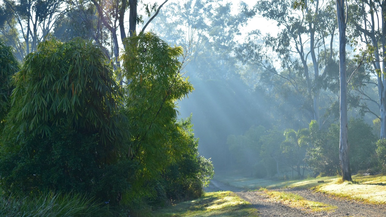 Photo of Outdoor in Melawondi