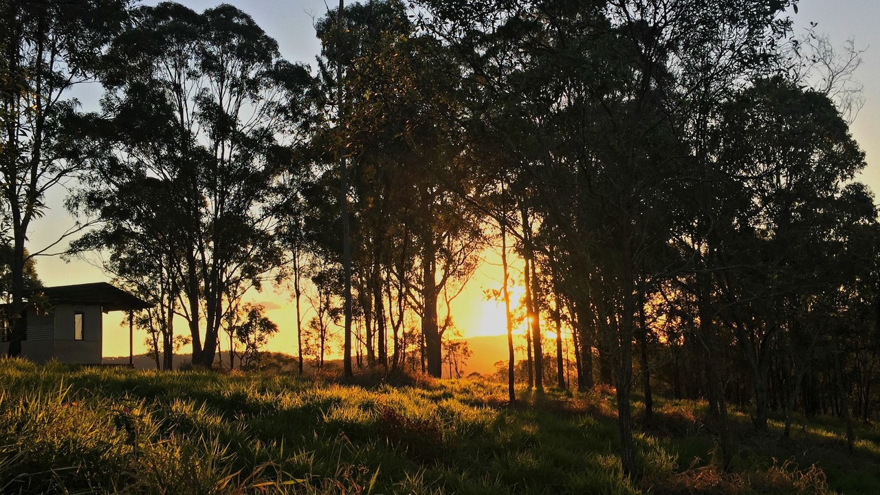 Photo of Outdoor in Melawondi