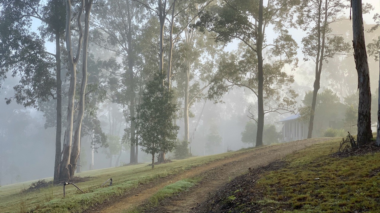 Photo of Others in Melawondi