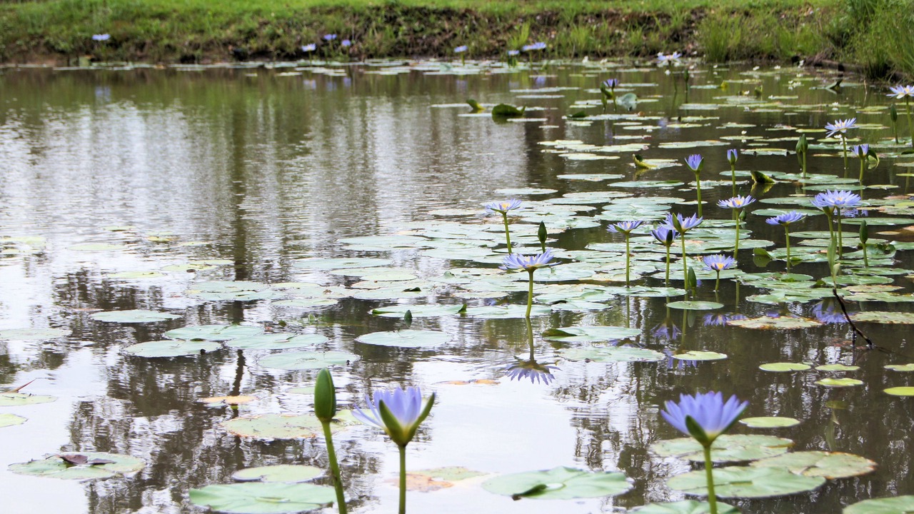 Photo of Outdoor in Melawondi