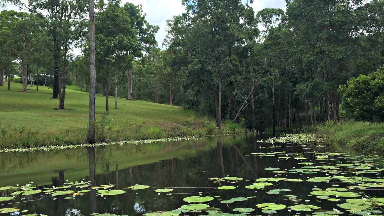 Photo of Outdoor in Melawondi