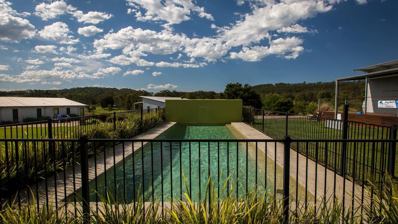 Photo of Outdoor in Lovedale