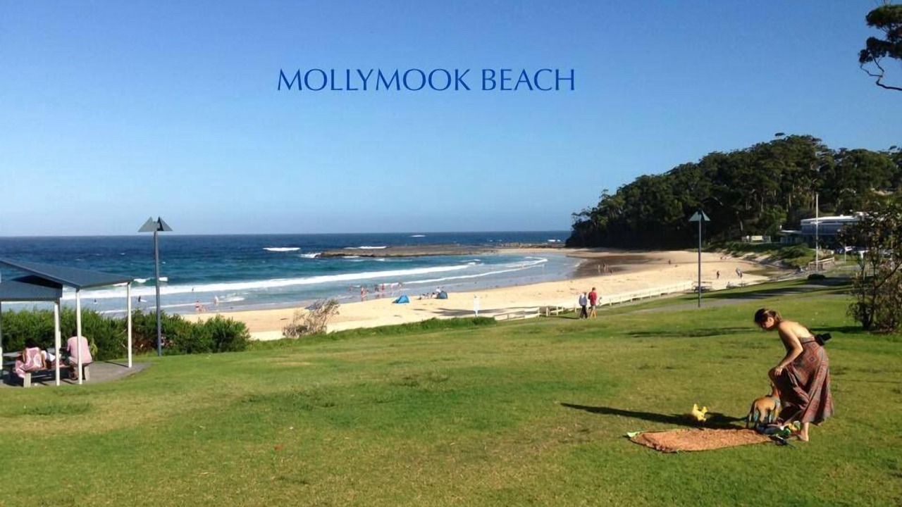 Photo of Others in Mollymook